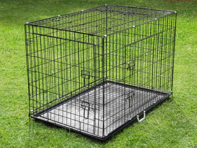 collapsible wire dog crate